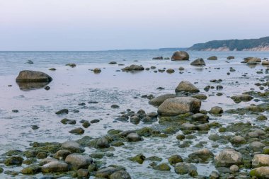 Uzun pozlama deniz manzarası, ormanlık okyanus kıyısı, alacakaranlıkta suda kayalar.