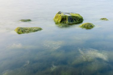 Yeşil çamurla kaplı, uzun ve pürüzsüz bir deniz yüzeyi.