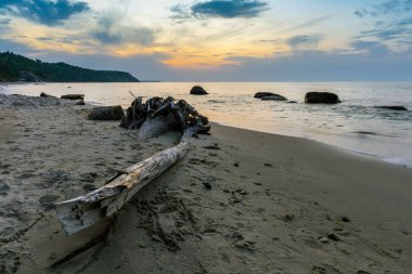 Devrilmiş bir ağacı olan güzel kumlu bir sahil manzarası, uzun süre taşlı bir deniz ve gün batımında ufukta sarp bir kıyı.