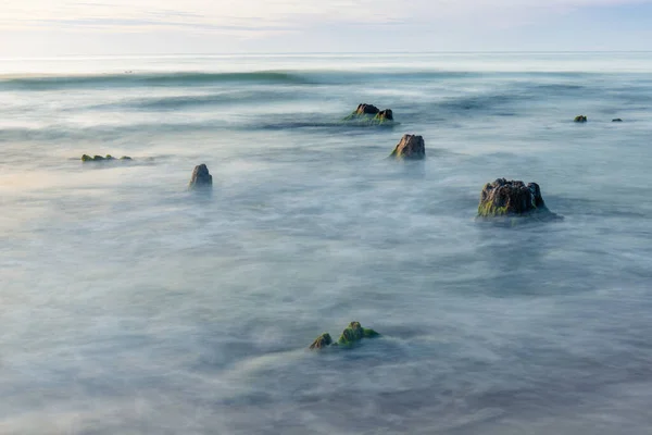 Bela Cena Natural Destroços Uma Floresta Relict Mar Ondas Exposição — Fotografia de Stock