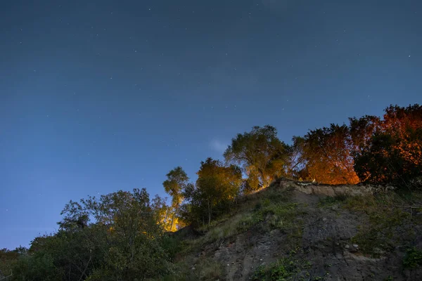 Bosque Una Colina Bajo Cielo Estrellado Noche — Foto de Stock