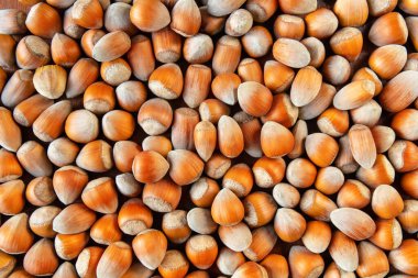 çok sayıda katlanmış fındık, arkaplan, doku, düz konum