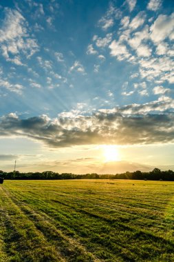 Yeşil bir tarlada güzel, parlak bir gün batımı