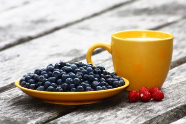 Yellow.Dark mavi. Red./eski kurulları ile bir bilberry bir tabak ve süt ile bir kupa durmak. Vahşi bilberry yatıyor.