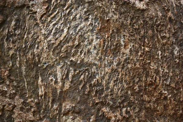 El patrón sobre la piedra . — Foto de Stock