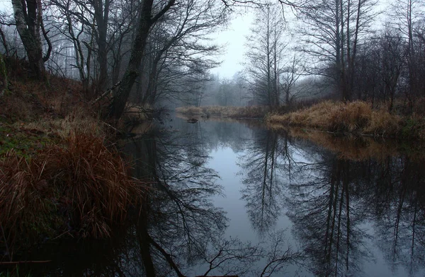 Взгляд Зимнее Утро Темной Воде Маленькой Реки Отражаются Черные Силуэты — стоковое фото