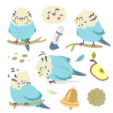 vector cartoon budgie parrot set clipart