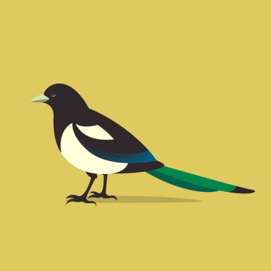vektör düz stil magpie çizim