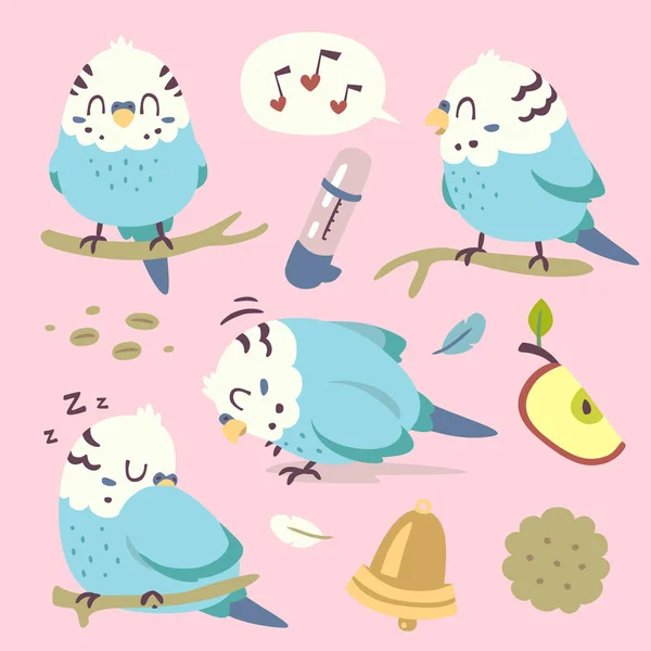 Vector cartoon budgie parrot set — Stock Vector