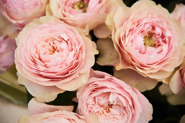 Fundo de flores bonitas para cena do casamento. Todas as rosas rosa delicadas em flores florescendo fundo festivo. cartão floral de buquê pastel e macio — Fotografia de Stock