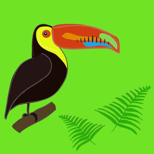 Ładna ręcznie rysowane toucan karty — Wektor stockowy