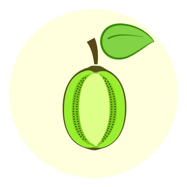 Fél zöld kiwi ikon, kettévágva egy kiwi — Stock Vector