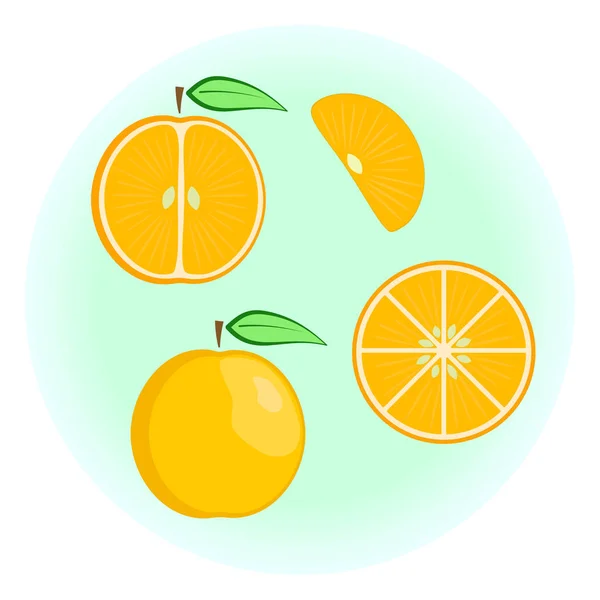 Lapos vektor narancs beállítása — Stock Vector
