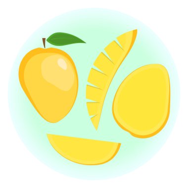 Düz vektör egzotik olgun turuncu mango set