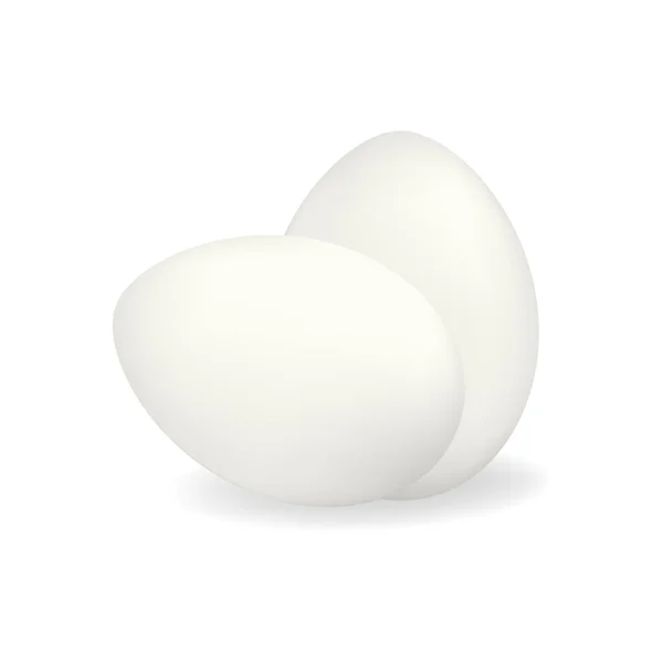 Dois ovos de galinha realistas vetor branco — Vetor de Stock