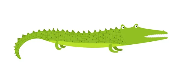 Schattige cartoon groene lange krokodil met korte benen — Stockvector