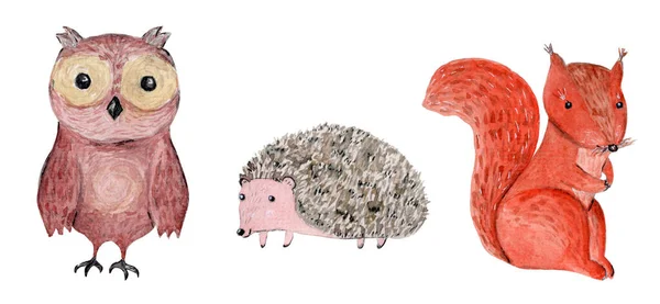 Roztomilý akvarel sova, ježek a veverka — Stock fotografie