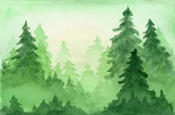 Aquarelle fond vert avec forêt de conifères — Photo