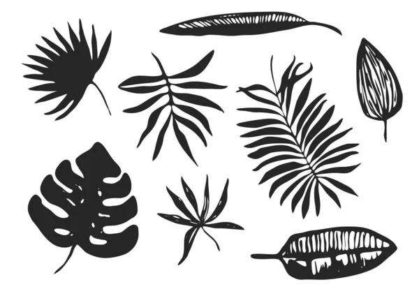Collection of black ink hand drawn tropical leaves