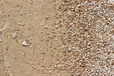 Brown beach texture with small rocks and sand