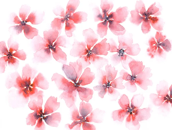 Delicate watercolor red and pink floral background