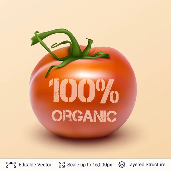 Tomate et texte . — Image vectorielle