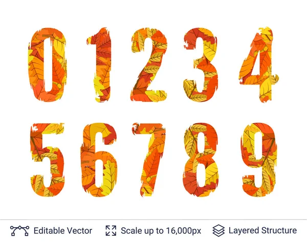 Autumn fall bright numbers collection. — Stock Vector