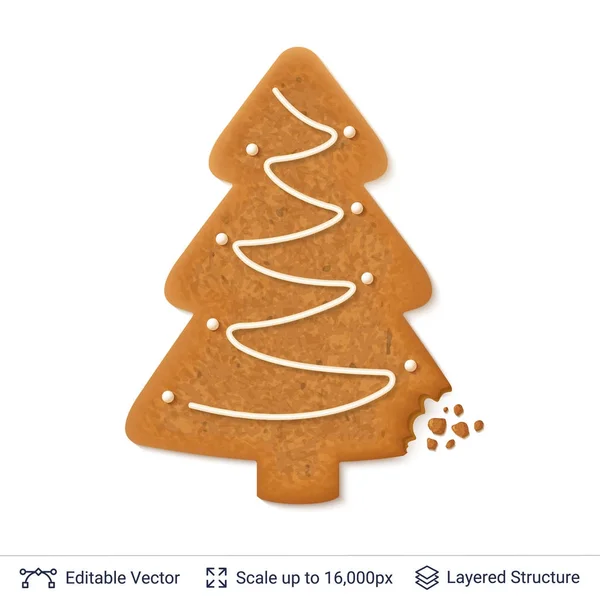 Pepparkakor cookie isolerad på vit. — Stock vektor