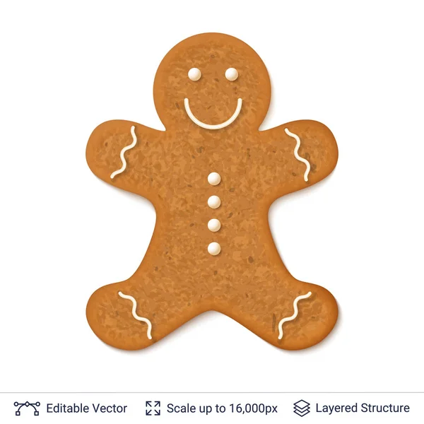 Gingerbread cookie man isolated on white. — Stock Vector