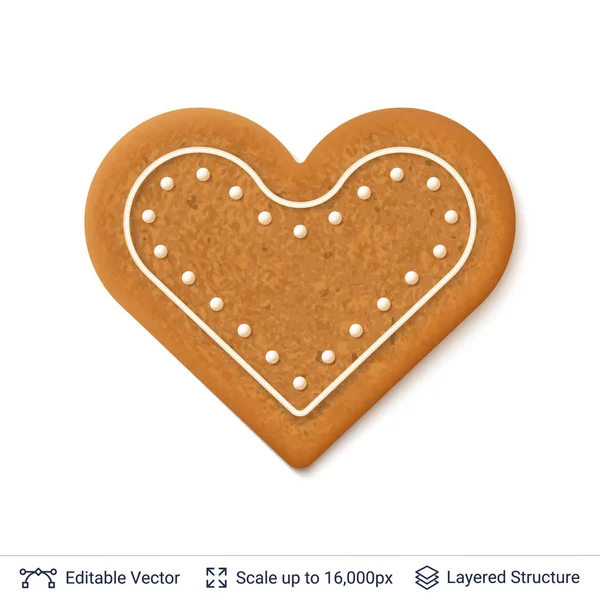 Gingerbread cookie isolated on white. — Stock Vector
