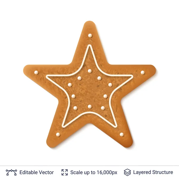 Pepparkakor cookie isolerad på vit. — Stock vektor