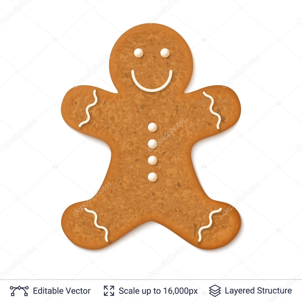 Gingerbread cookie man isolated on white.