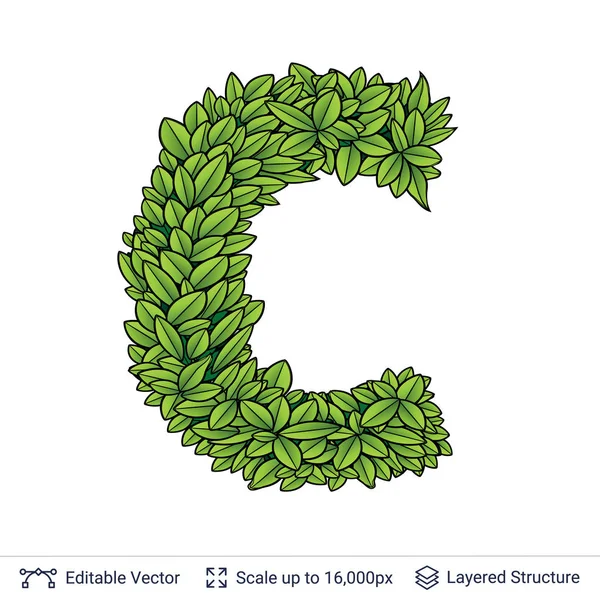Lettera C simbolo di foglie verdi . — Vettoriale Stock