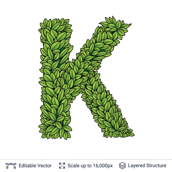 Letter K symbol of green leaves. — Stock Vector