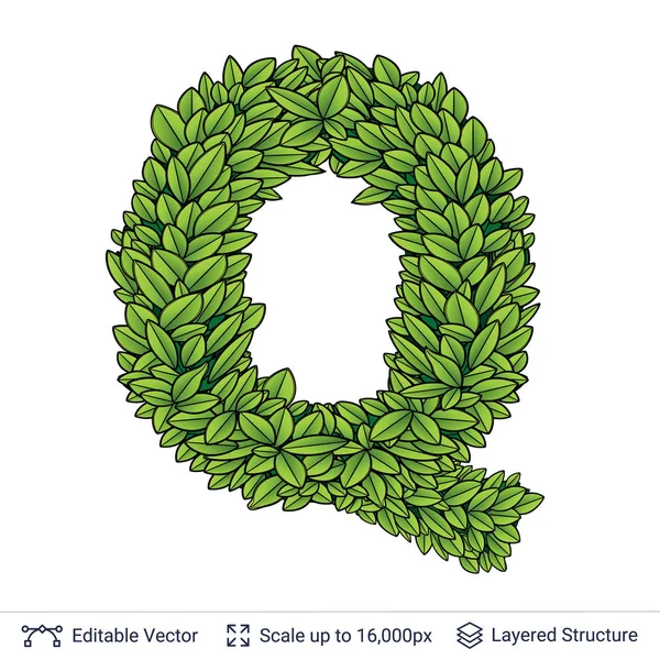 Letter Q symbol of green leaves. — Stock Vector