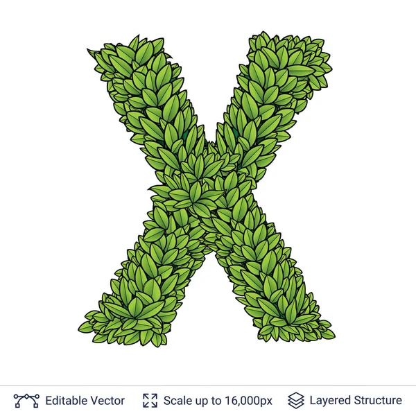 Letter X symbol of green leaves. — Stock Vector