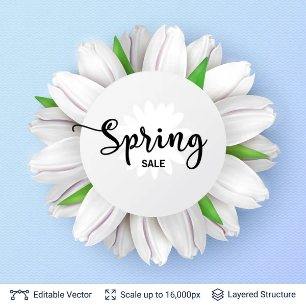 Sezon wiosna białe tulipany i sprzedaż tekst. — Wektor stockowy