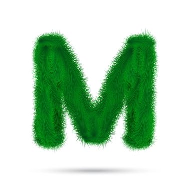 Beyaz üzerine izole edilmiş köknar ağacının dekoratif harfi.