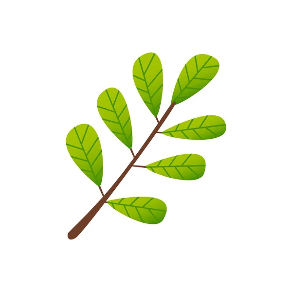 Cartoon grüne Blätter Zweig isoliert auf weiß. — Stockvektor