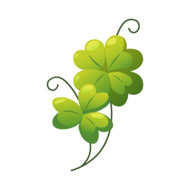 Yeşil yonca folyo yaprakları beyaz üzerine izole.