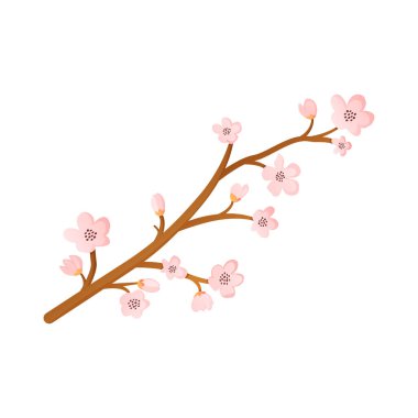 Bahar çiçeklerinin olduğu ağaç dalı beyaza izole edilmiş..