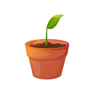 Beyaz tencerede taze yeşil filiz..