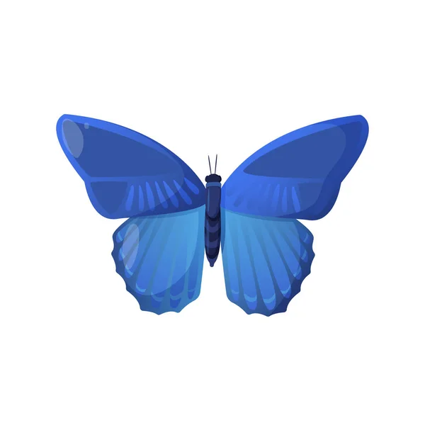 Inseto borboleta azul brilhante isolado em branco . — Vetor de Stock