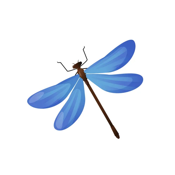 Bright blue dragonfly insect isolated on white. — Stock Vector