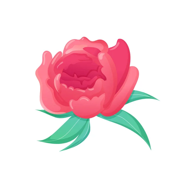 Flor de primavera rosa brillante aislada en blanco . — Vector de stock