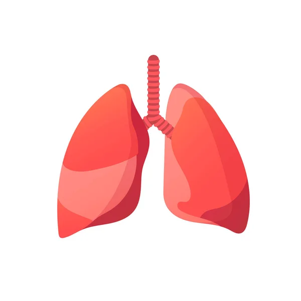 Rote Lungen menschliches Organ isoliert auf weiß. — Stockvektor