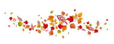 Düşen sarı yapraklar beyaz üzerine dekoratif sınır.