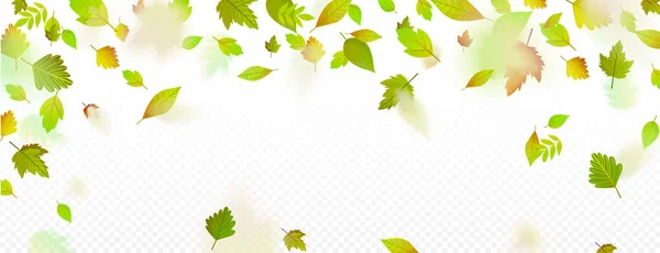 Falling green leaves decorative border on white. — Stock Vector