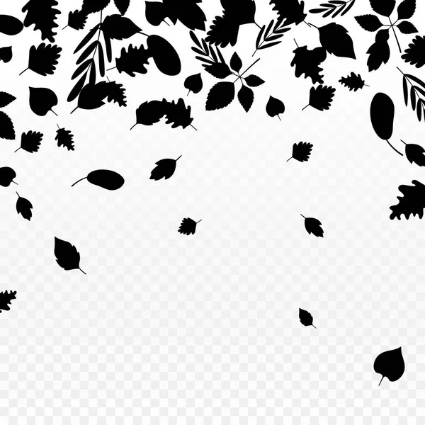 Padající listy černé siluety okraje na bílém. — Stockový vektor