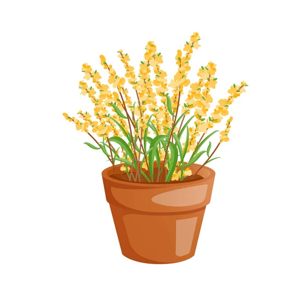 Sarı çiçekli bitki, beyaz tencerede izole edilmiş.. — Stok Vektör